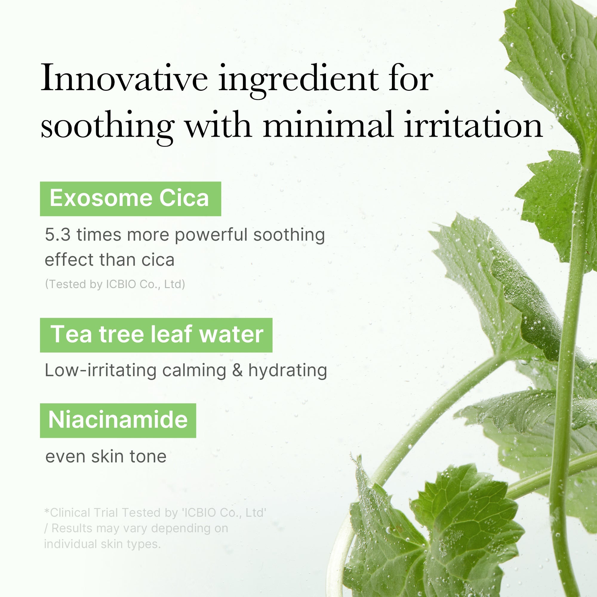 Exosome Cica Calming Toner Pads, 150ml